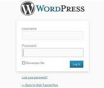 WordPress password log in