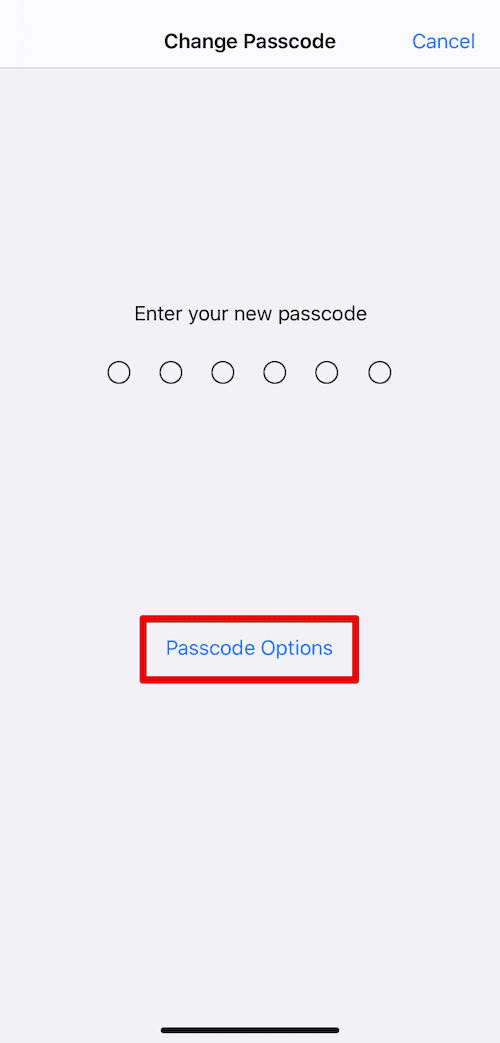 Passcode options button on iPhone